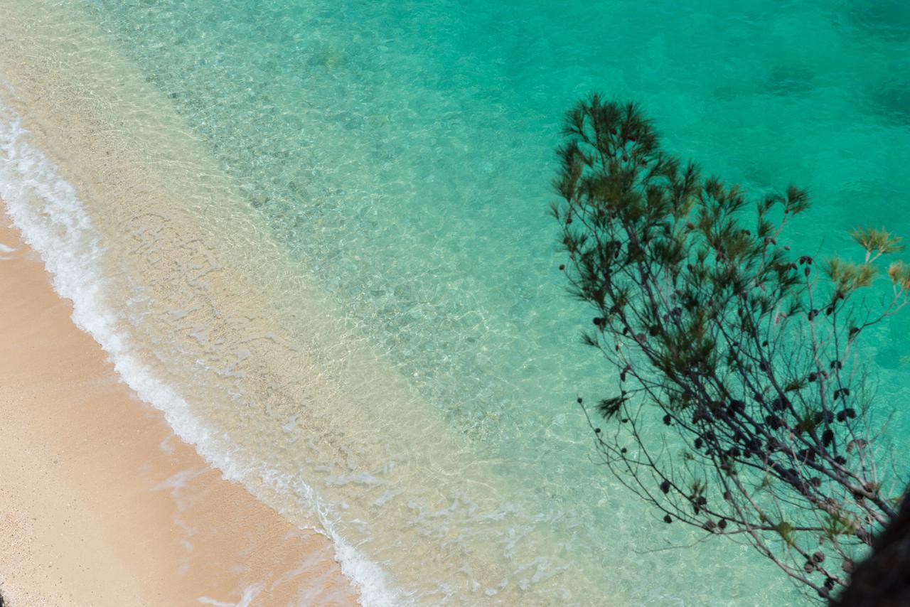 Baia Dei Mergoli Hotel Mattinata Dış mekan fotoğraf
